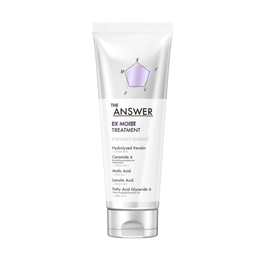 THE ANSWER EX Moist Hair Treatment 220g Japanese deep conditioner for dry damaged and frizzy hair in Pakistan
